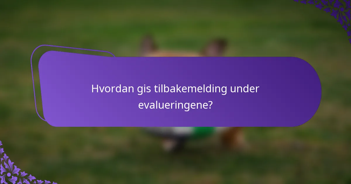 Hvordan gis tilbakemelding under evalueringene?